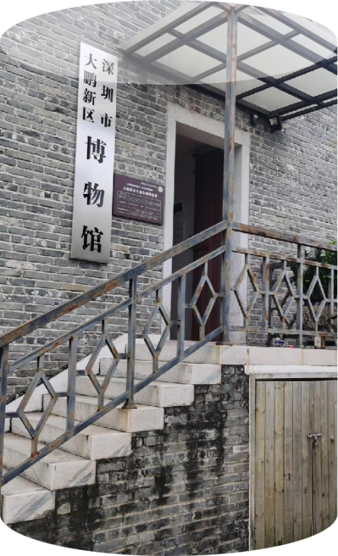 深圳大鵬博物館：探秘古韻，發(fā)現(xiàn)新趣！(圖1)
